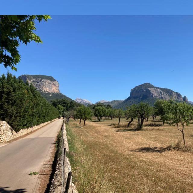Sa Sort De Can Moix Alaró Buitenkant foto